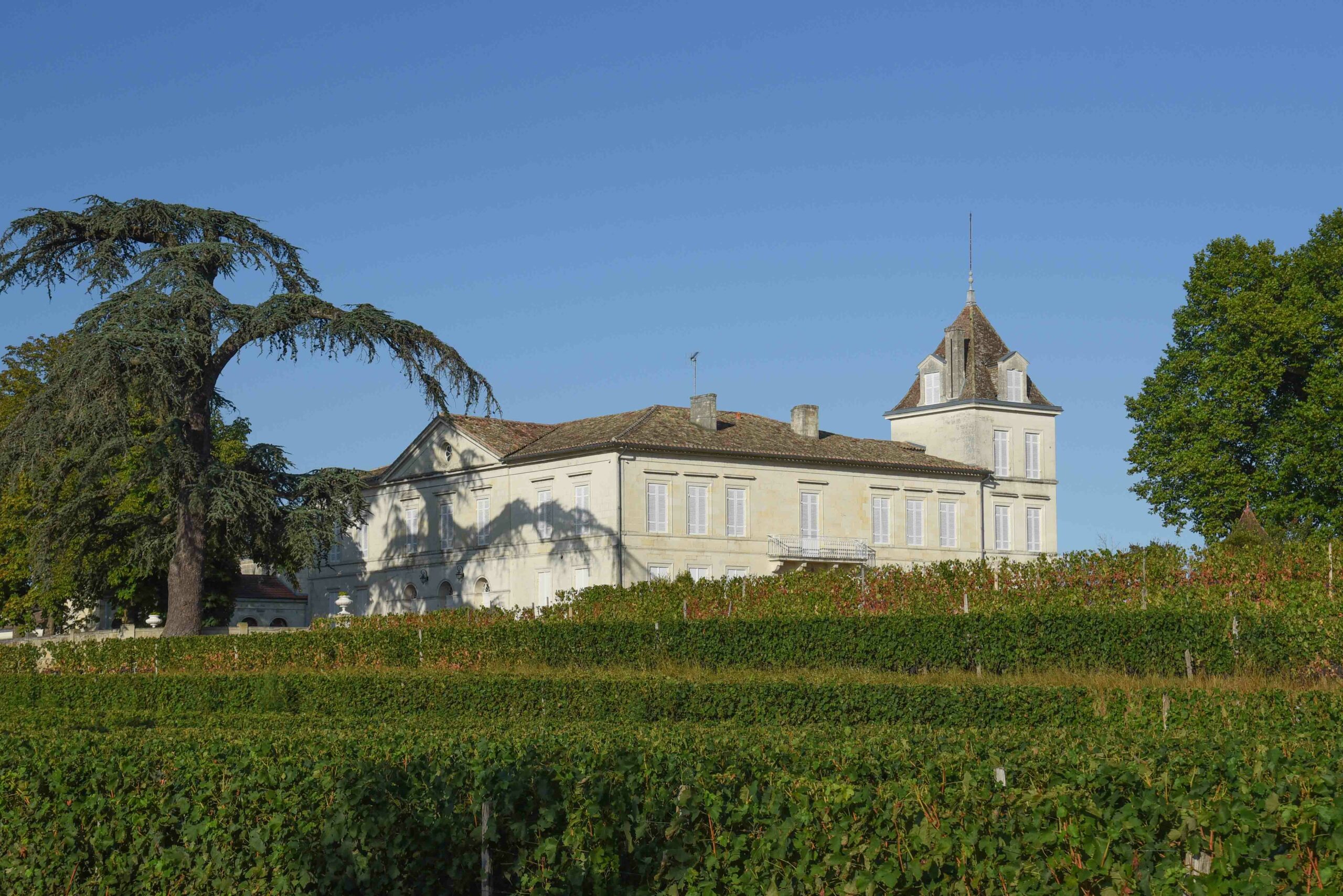 Château Condat François Janoueix
